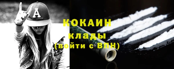 сатива Арсеньев