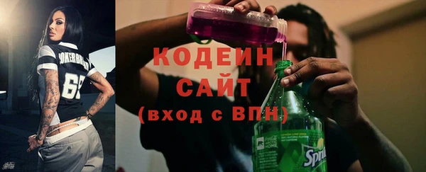 сатива Арсеньев
