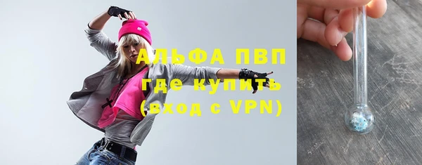 сатива Арсеньев