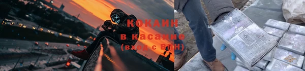 сатива Арсеньев