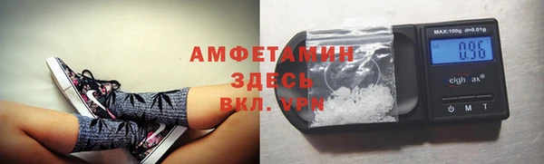 прущие грибы Армянск