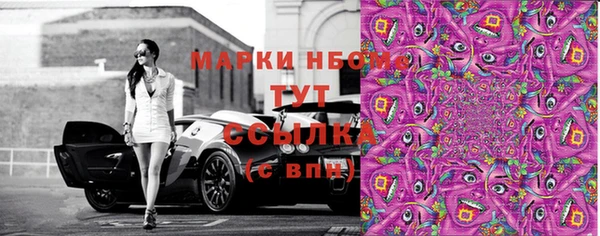 прущие грибы Армянск