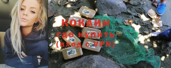 прущие грибы Армянск