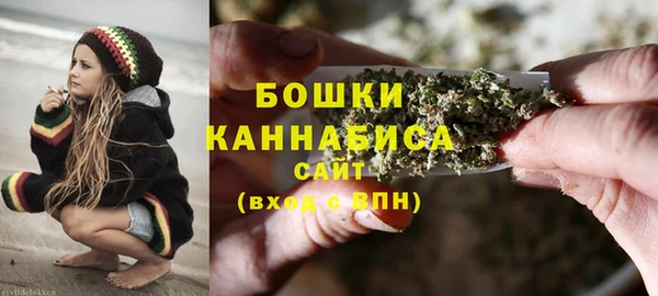 сатива Арсеньев