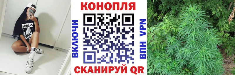 Шишки марихуана ГИДРОПОН  купить   Россошь 